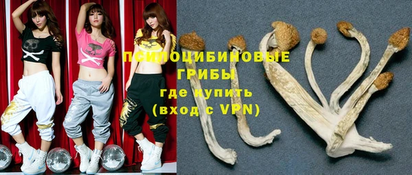 стаф Абаза