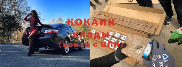стаф Абаза