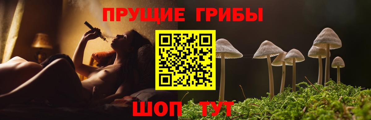 Галлюциногенные грибы GOLDEN TEACHER  Галлюциногенные грибы Psilocybe  Алатырь  Вход с VPN 